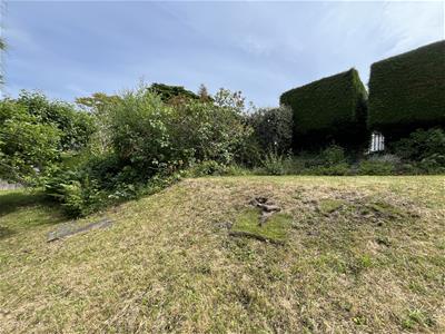 Picture 22